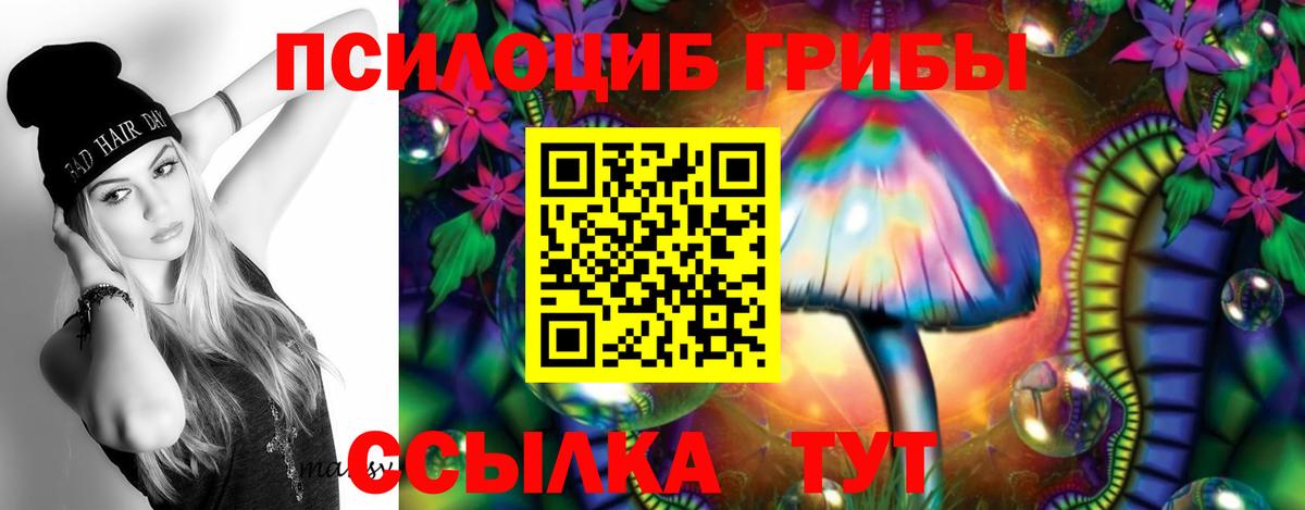 Галлюциногенные грибы Psilocybe Холмск